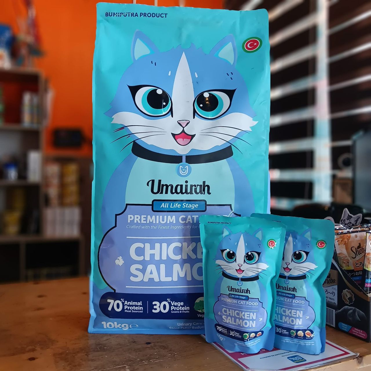 Kucing gebu dan sihat
